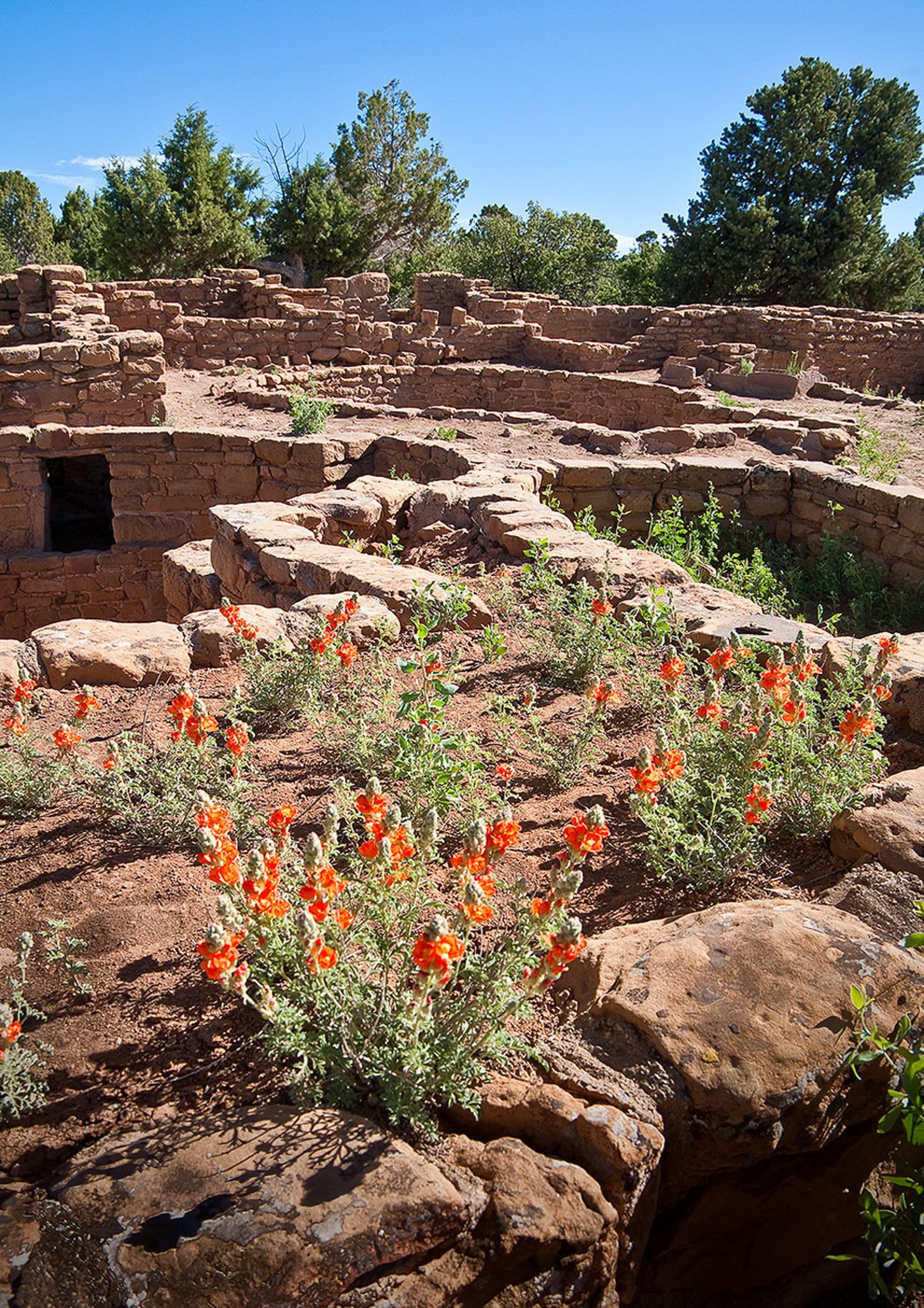 Far View Lodge حديقة ميسا فيردي الوطنية المظهر الخارجي الصورة
