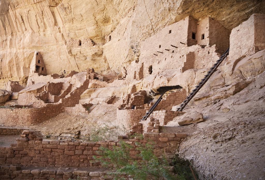 Far View Lodge حديقة ميسا فيردي الوطنية المظهر الخارجي الصورة